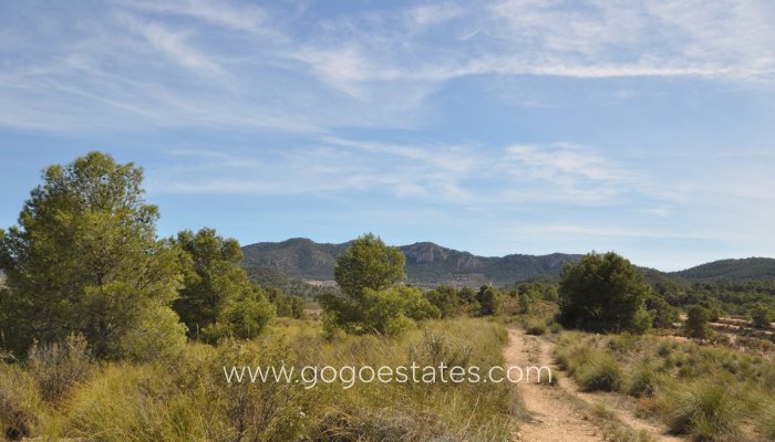 Te koop - Perceel - Land - Jumilla - La Zarza