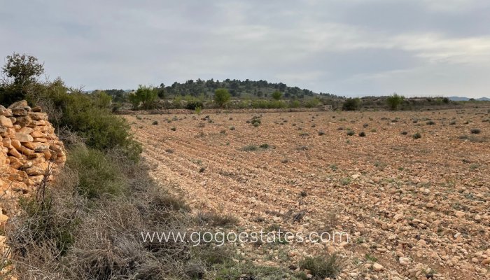 Te koop - Perceel - Land - Yecla - Yecla Centro