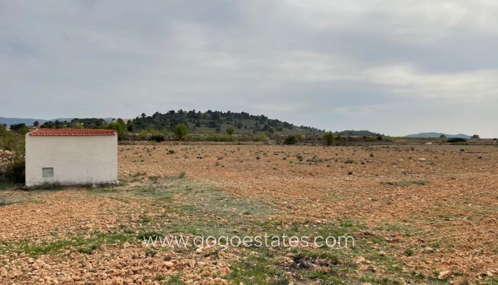 Te koop - Perceel - Land - Yecla - Yecla Centro