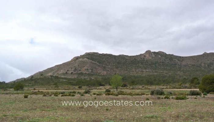 Te koop - Perceel - Land - Yecla - Yecla Centro