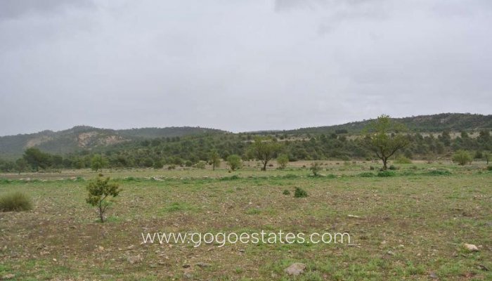 Te koop - Perceel - Land - Yecla - Yecla Centro