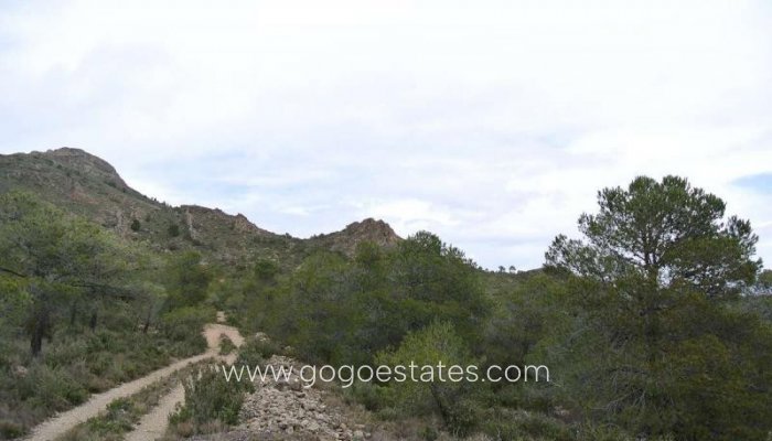 Te koop - Perceel - Land - Yecla - Yecla Centro