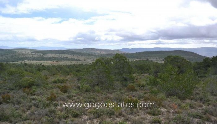 Te koop - Perceel - Land - Yecla - Yecla Centro