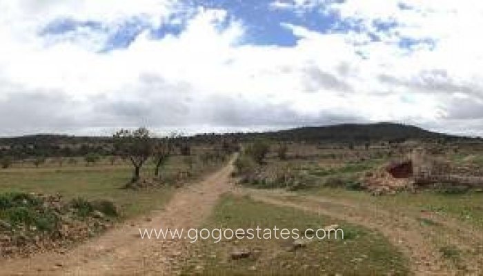 Te koop - Perceel - Land - Yecla - Yecla Centro