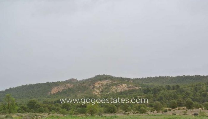 Te koop - Perceel - Land - Yecla - Yecla Centro