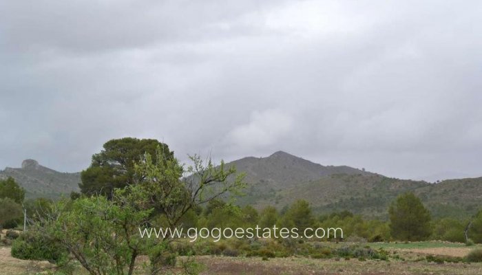 Te koop - Perceel - Land - Yecla - Yecla Centro