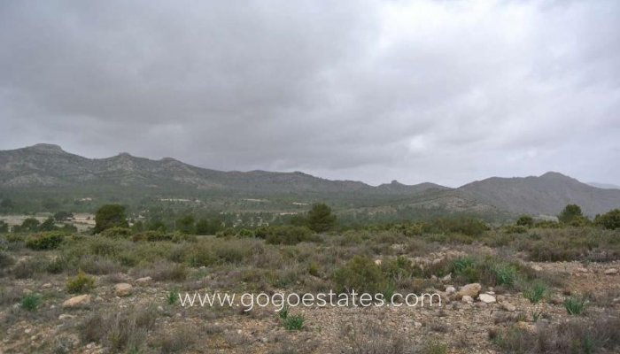 Te koop - Perceel - Land - Yecla - Yecla Centro