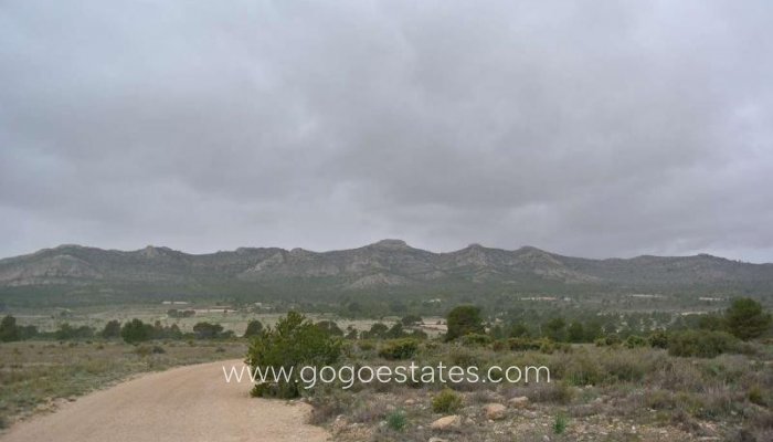 Te koop - Perceel - Land - Yecla - Yecla Centro