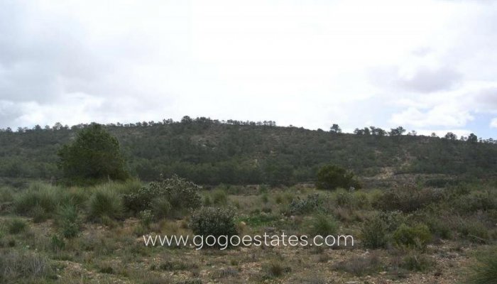 Te koop - Perceel - Land - Yecla - Yecla Centro