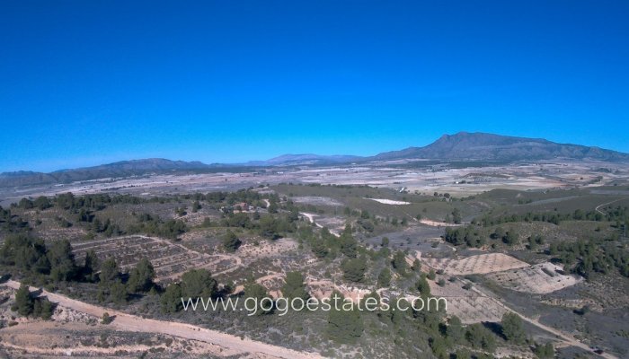 Te koop - Perceel - Land - Jumilla - La Zarza