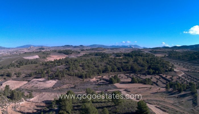 Te koop - Perceel - Land - Jumilla - La Zarza