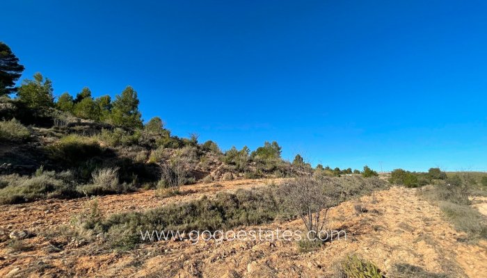 Te koop - Perceel - Land - Jumilla - La Zarza