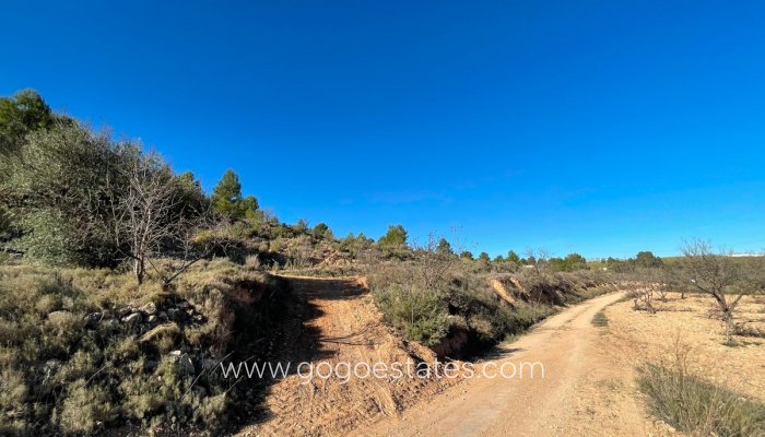 Te koop - Perceel - Land - Jumilla - La Zarza