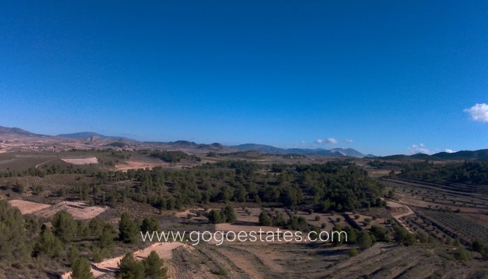 Te koop - Perceel - Land - Jumilla - La Zarza