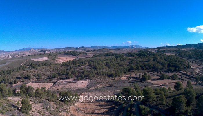 Te koop - Perceel - Land - Jumilla - La Zarza