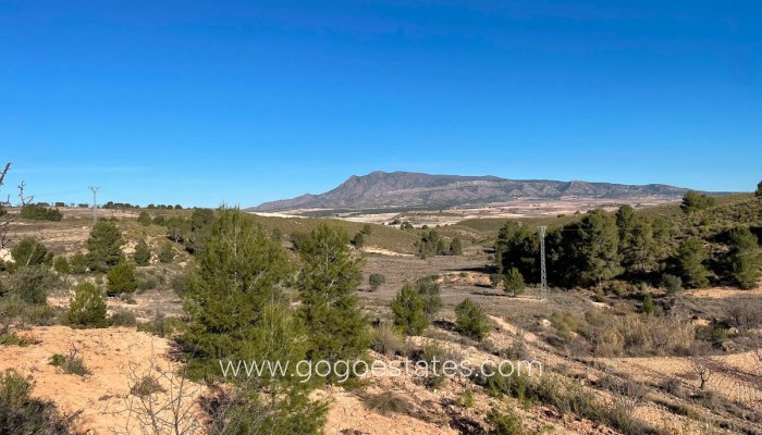 Te koop - Perceel - Land - Jumilla - La Zarza