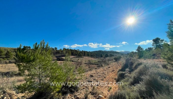 Te koop - Perceel - Land - Jumilla - La Zarza