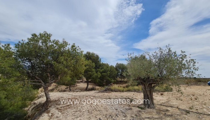 Revente - Terrain - Terrain avec ruine - Murcia - Abanilla Centro