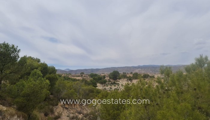 Revente - Terrain - Terrain avec ruine - Murcia - Abanilla Centro