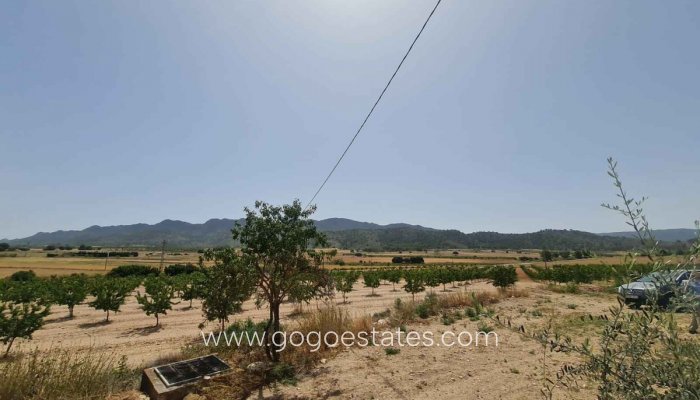 Te koop - Perceel - Land - Yecla - Yecla Centro