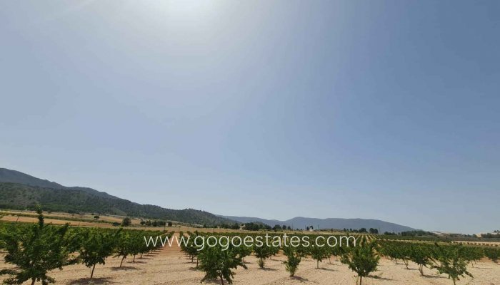 Te koop - Perceel - Land - Yecla - Yecla Centro