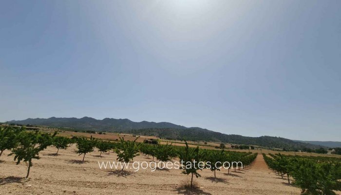 Te koop - Perceel - Land - Yecla - Yecla Centro