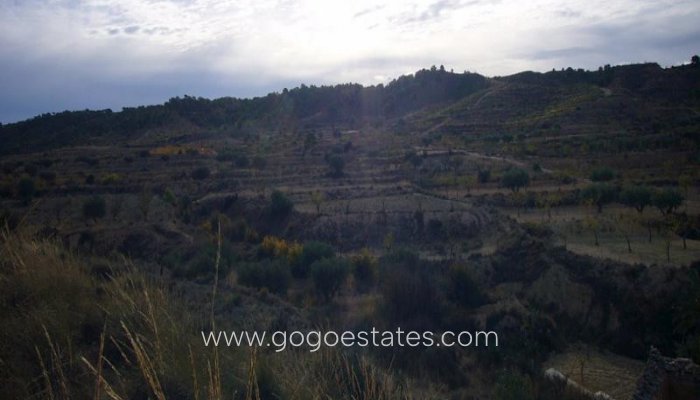 Te koop - Huis - Finca - Cortijo - Murcia - Macisvenda