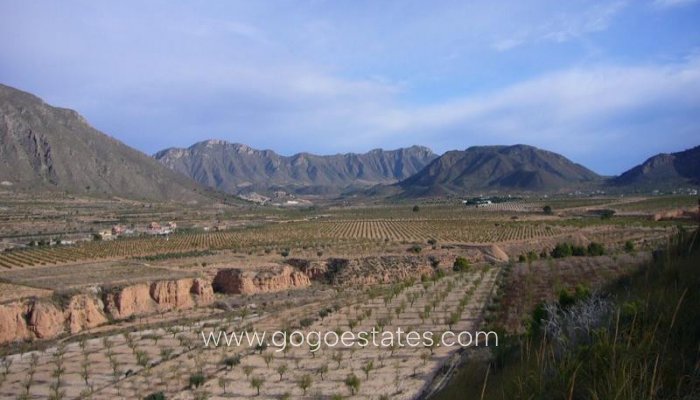 Te koop - Huis - Finca - Cortijo - Murcia - Macisvenda