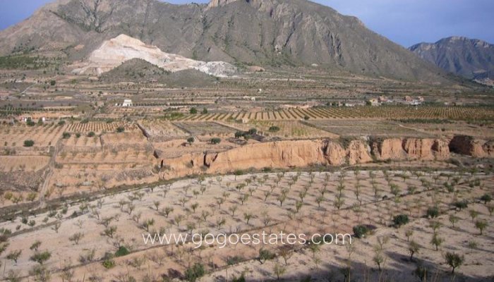 Te koop - Huis - Finca - Cortijo - Murcia - Macisvenda