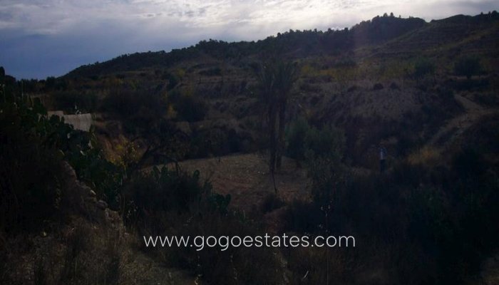 Te koop - Huis - Finca - Cortijo - Murcia - Macisvenda