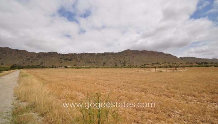 Revente - Terrain - Terrain - Yecla - Yecla Centro