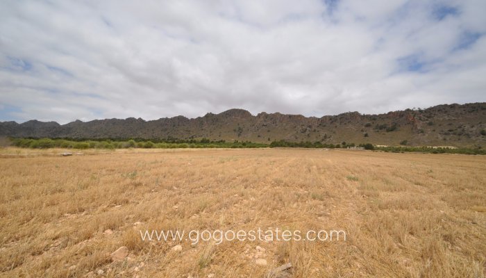 Revente - Terrain - Terrain - Yecla - Yecla Centro