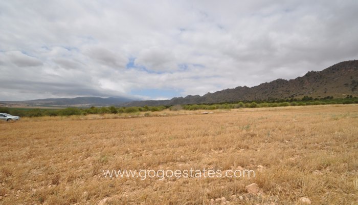 Revente - Terrain - Terrain - Yecla - Yecla Centro