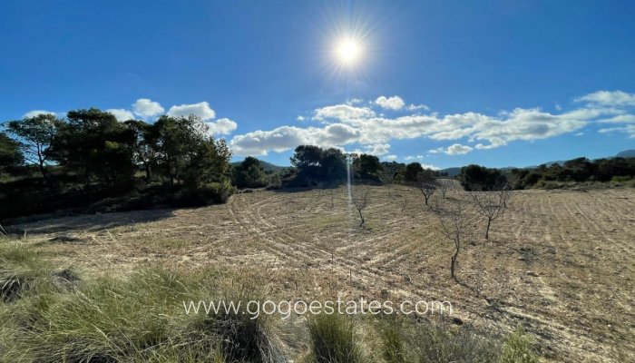 Te koop - Perceel - Land - Jumilla - La Zarza