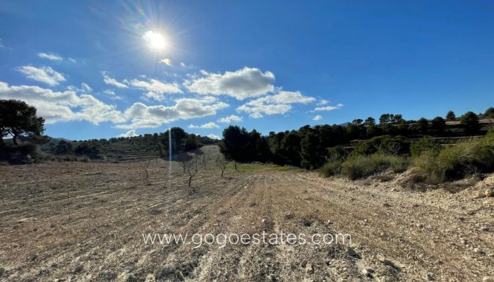 Te koop - Perceel - Land - Jumilla - La Zarza