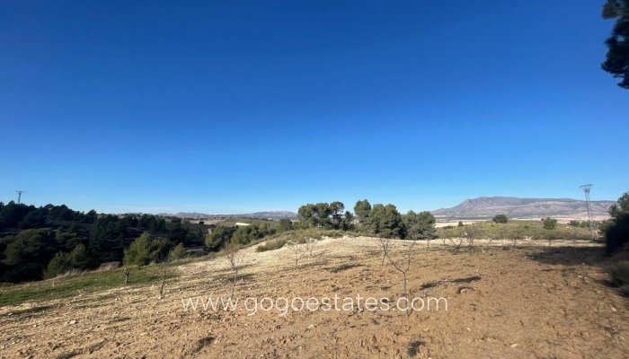 Te koop - Perceel - Land - Jumilla - La Zarza