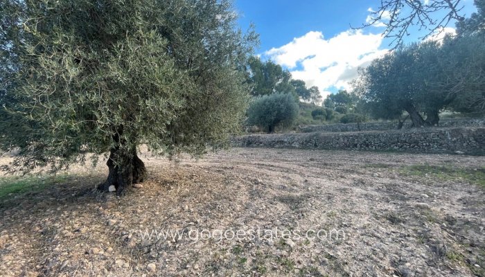 Te koop - Perceel - Land - Jumilla - La Zarza