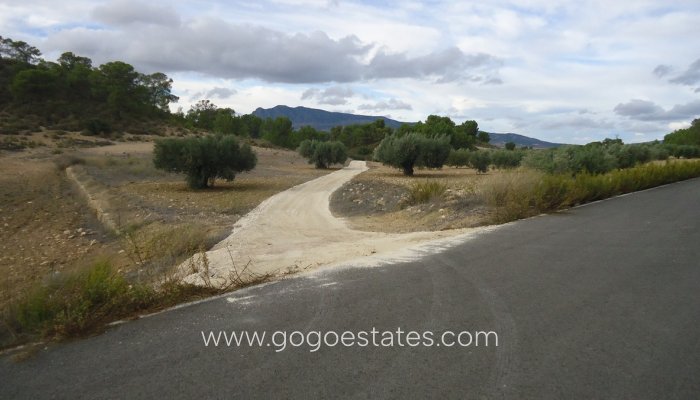 Te koop - Perceel - Land - Jumilla - La Zarza