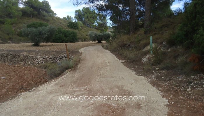 Te koop - Perceel - Land - Jumilla - La Zarza