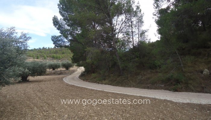Te koop - Perceel - Land - Jumilla - La Zarza