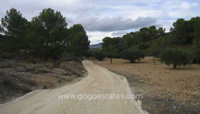 Te koop - Perceel - Land - Jumilla - La Zarza