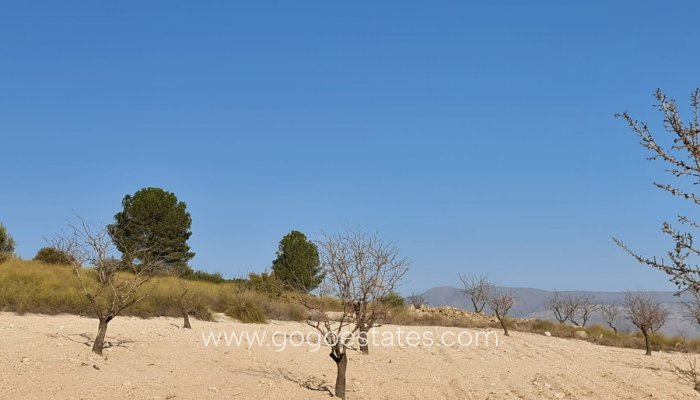 Te koop - Perceel - Land - Jumilla - Jumilla Centro