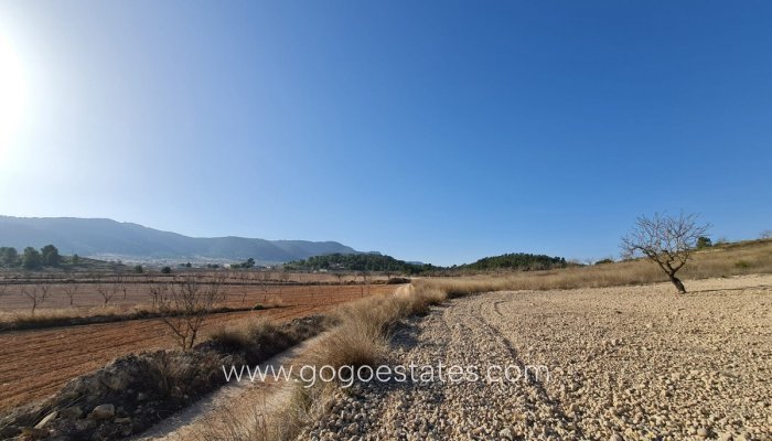 Te koop - Perceel - Land - Jumilla - Jumilla Centro