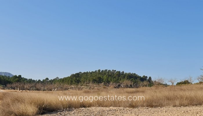 Te koop - Perceel - Land - Jumilla - Jumilla Centro