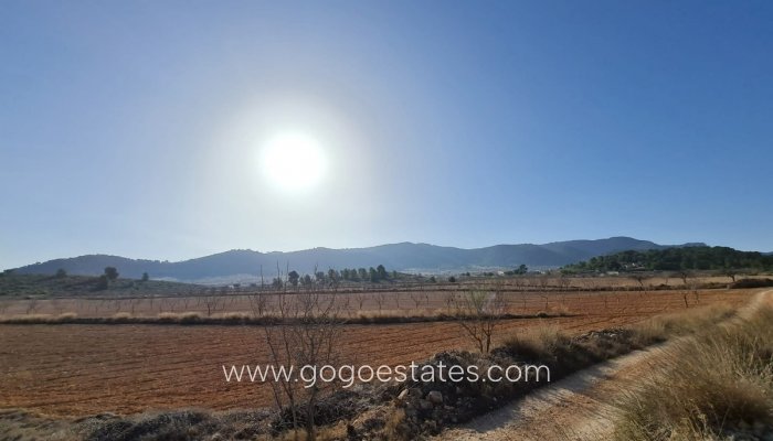 Te koop - Perceel - Land - Jumilla - Jumilla Centro