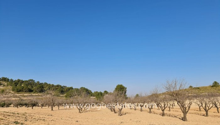 Te koop - Perceel - Land - Jumilla - Jumilla Centro