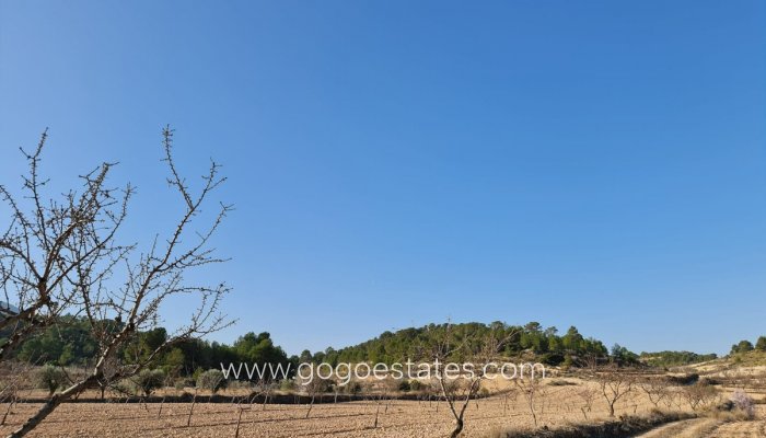 Te koop - Perceel - Land - Jumilla - Jumilla Centro