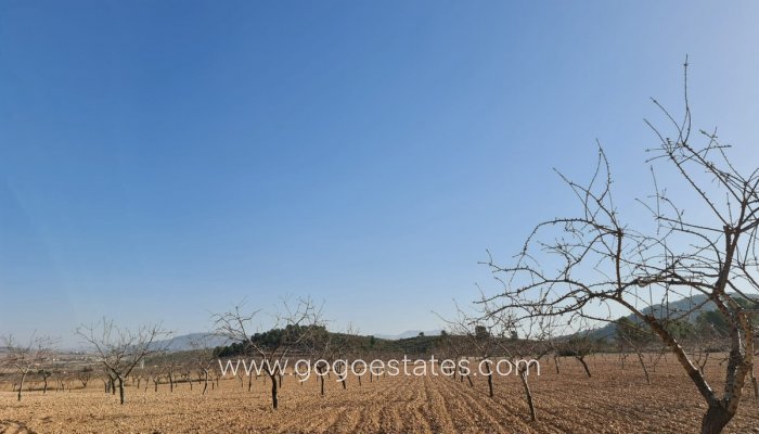 Te koop - Perceel - Land - Jumilla - Jumilla Centro