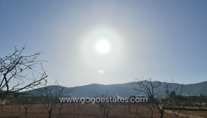 Te koop - Perceel - Land - Jumilla - Jumilla Centro