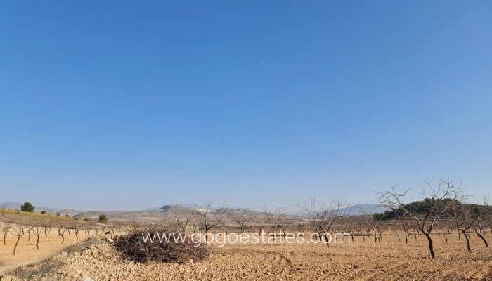 Te koop - Perceel - Land - Jumilla - Jumilla Centro